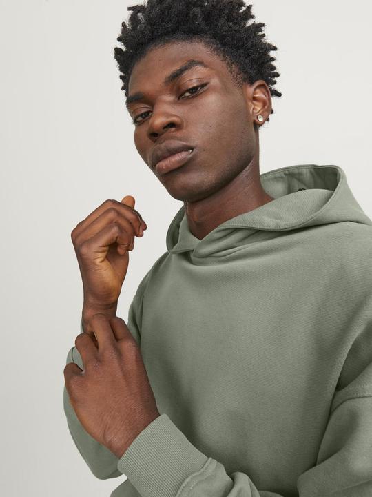 Actual product image Jack & Jones Sweat Hoodie (XXL)