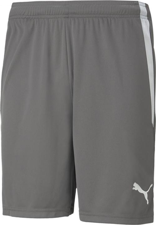 Actual product image Puma teamLIGA shorts (XXL)