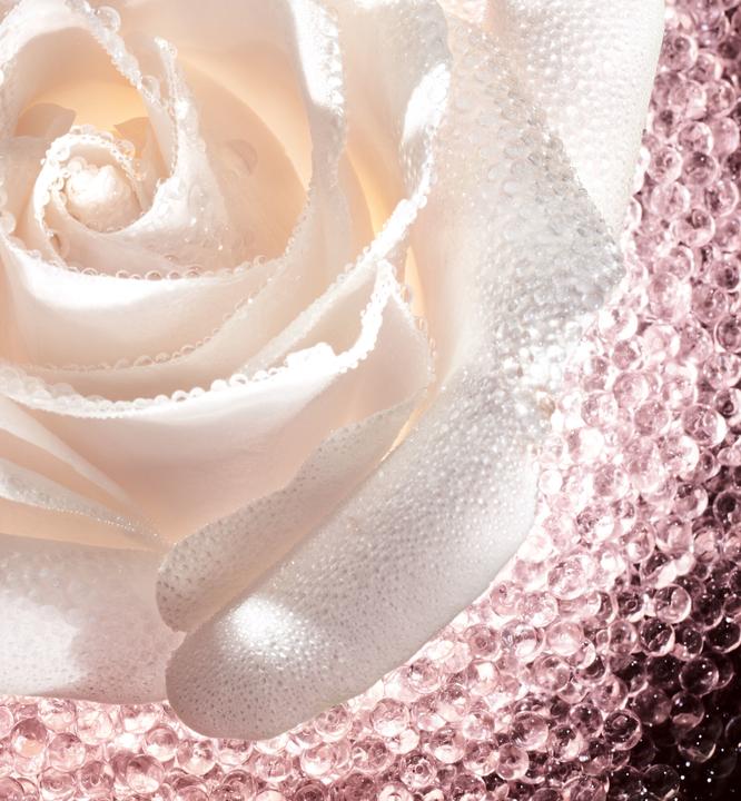 Actual product image Dior Micro Caviar Rose Jar (75 ml, Day cream)