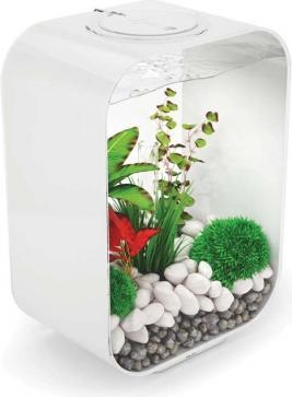 Image du produit Pontec Aspirateur de boue de bassin 50754