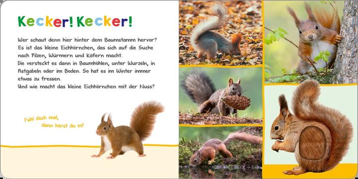 Actual product image Hör mal rein, wer kann das sein? – Tiere im Herbst (German)
