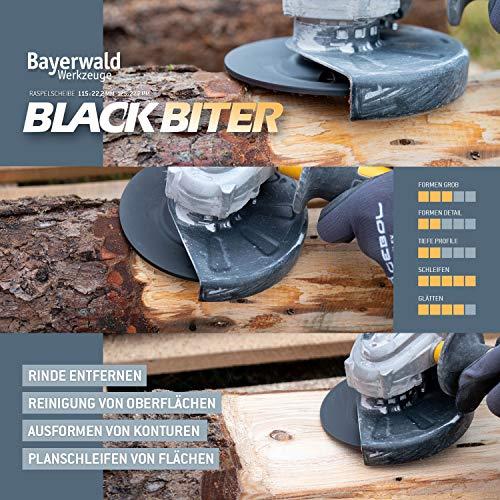 Actual product image Bayerwald Werkzeuge Rasp disc