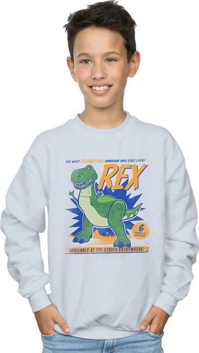 Actual product image Disney Boys Toy Story 4 Rex Terrifying Dinosaur Sweatshirt (116)