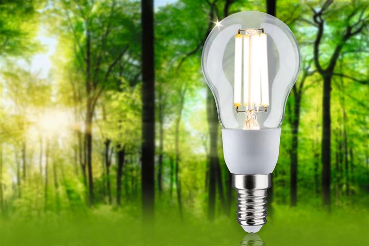 Image du produit Paulmann Gouttes de filament Eco-Line (E14, 2.50 W, 525 lm, 1 x, A)