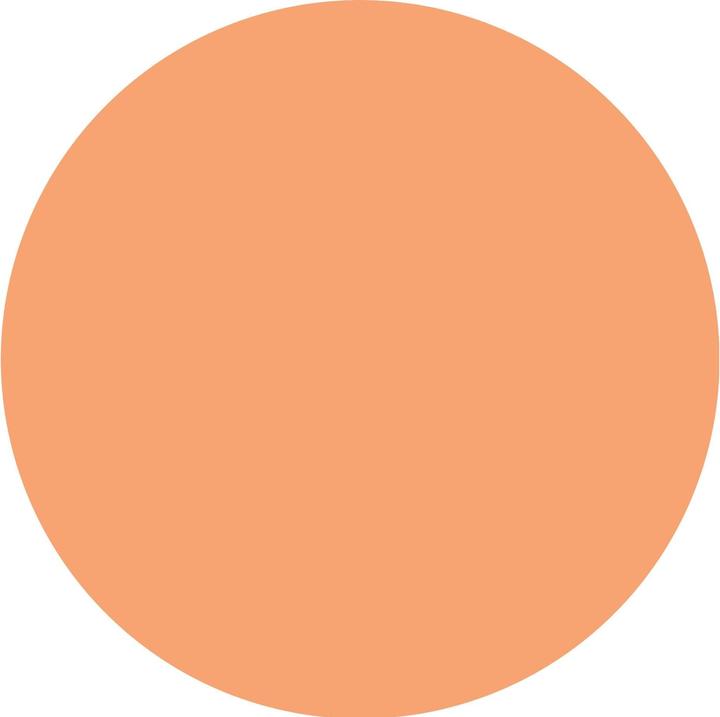 Actual product image Catrice Blush Affair Cream & Powder Palette (030 Absolute Apricot)