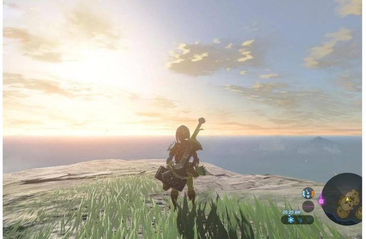 Produktbild Nintendo The Legend of Zelda: Breath Of The Wild (Switch, Multilingual)