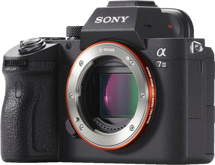 Sony Alpha 7 III (EU) (28 - 70 mm, 24 Mpx, Plein format)