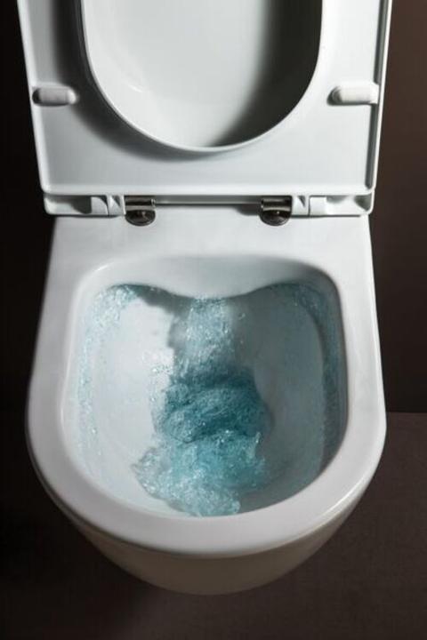 Actual product image Laufen PRO UNIVERSAL WC seat with cover with soft-closing mechanism pergamon