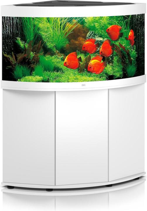 Immagine prodotto Juwel Aquarium Acquario Trigon 350 123x87x65cm bianco (350 l)