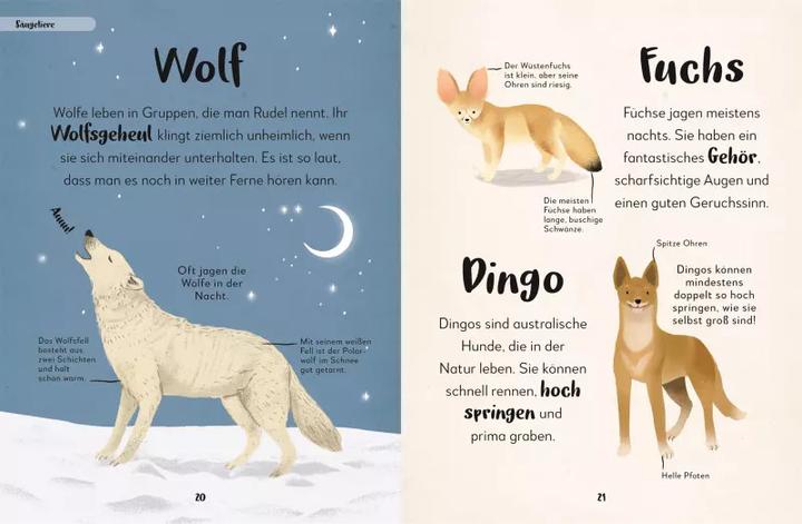 Produktbild Mein liebstes Buch der Tiere (Deutsch, Eva Sixt, 2022)