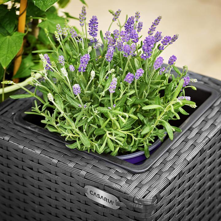Actual product image Casaria Flowerpot (27 cm)