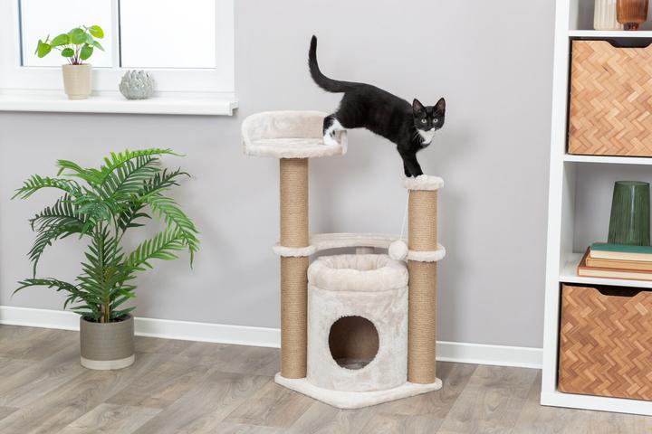 Immagine prodotto Trixie Gatto Nayra (83 cm, Beige)