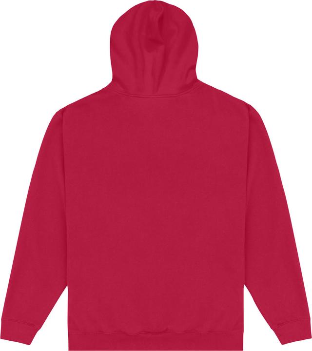 Image du produit - Sweat à capuche EST - Adulte (M)