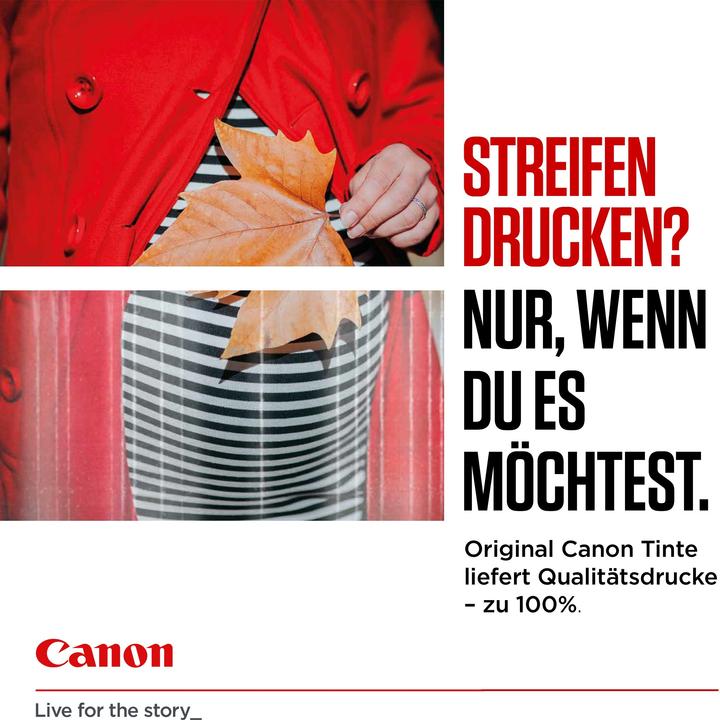 Actual product image Canon PGI-2500XL Multipack (M, FC, C, Y)