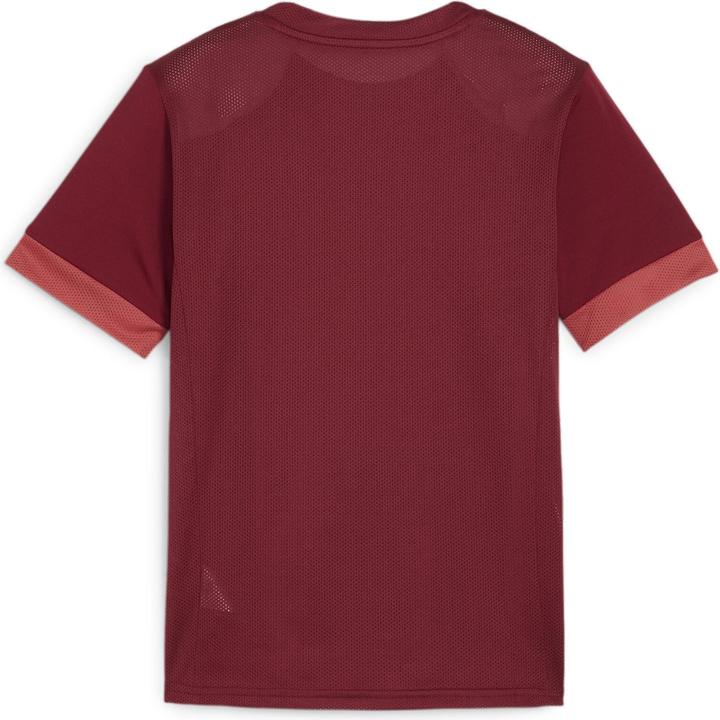 Actual product image Puma teamGOAL Matchday Jersey jr (116)
