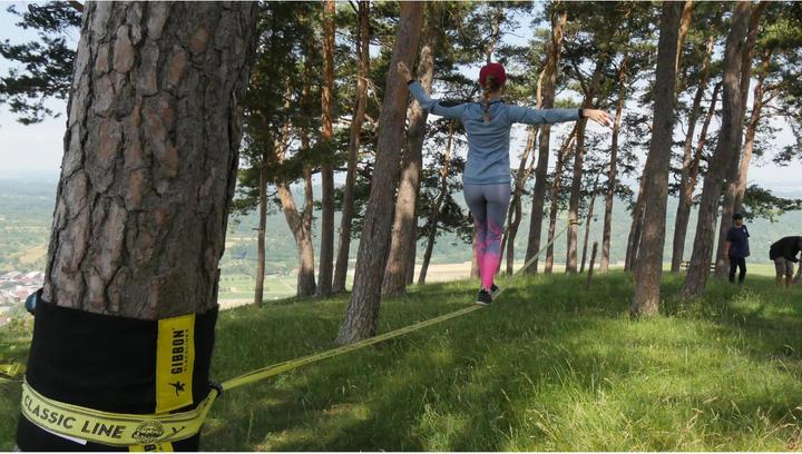 Actual product image Gibbon Classicline Treewear Set (15 m)