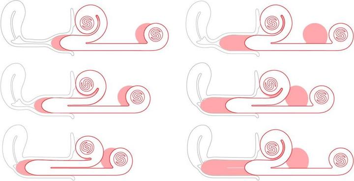 Image du produit Snail Vibe Vibromasseur duo