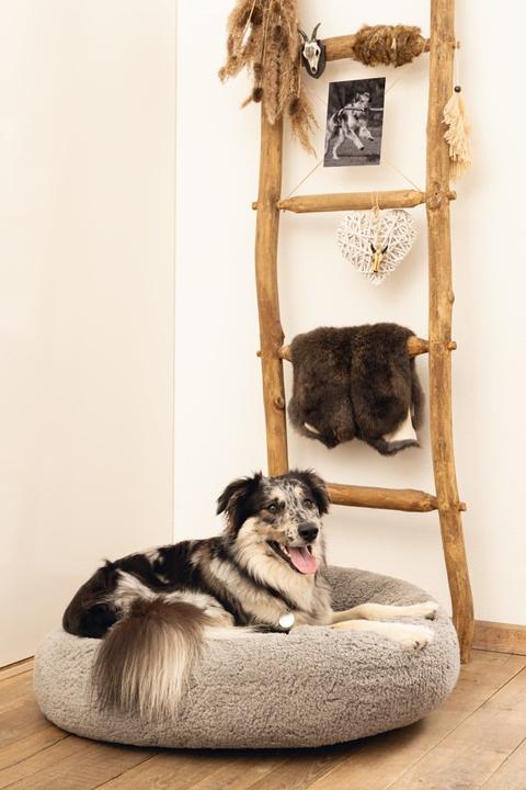 Immagine prodotto Beeztees Lettino Memory Foam Jaxx (Cane)
