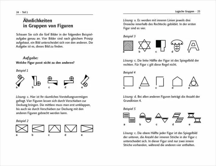 Immagine prodotto Der grosse IQ-Trainer. Das Übungsbuch mit über 500 Aufgaben und Lösungen (Tedesco, Irina Bosley, 2023)