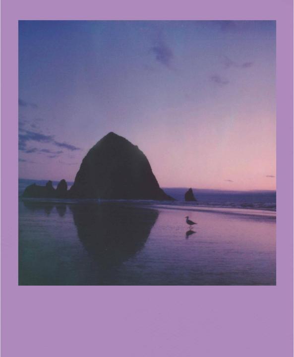 Produktbild Impossible Polaroid Color Film 600 Summer Haze