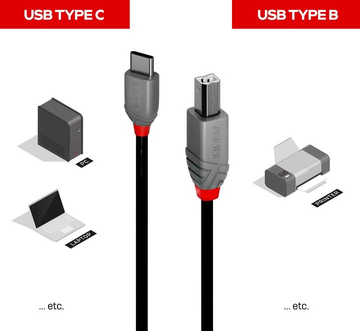 Produktbild Lindy USB C — USB B (2 m, USB 2.0)