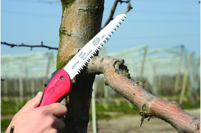 Actual product image Felco Folding saw 600