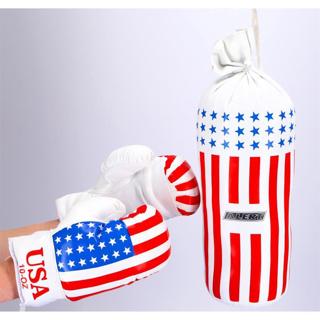 Actual product image Punching Bag With Gloves In Bag