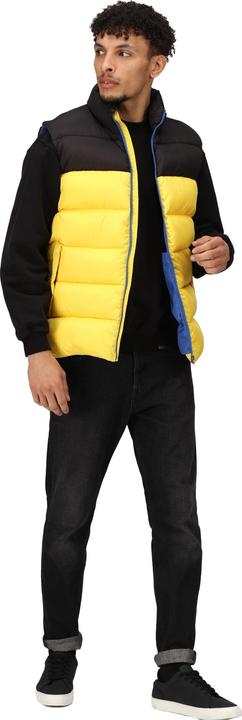 Actual product image Regatta Mens Vintage Colour Block Gilet (3XL)