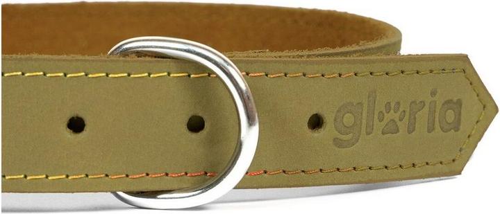 Actual product image Gloria Dog collar Oasis 65 cm green (65 x 3 cm)