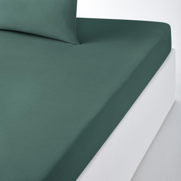 Actual product image La Redoute Interieurs Scenario Coton (120 x 190 cm)