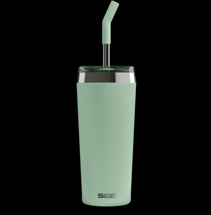 Image du produit Sigg Helia (0.60 l)