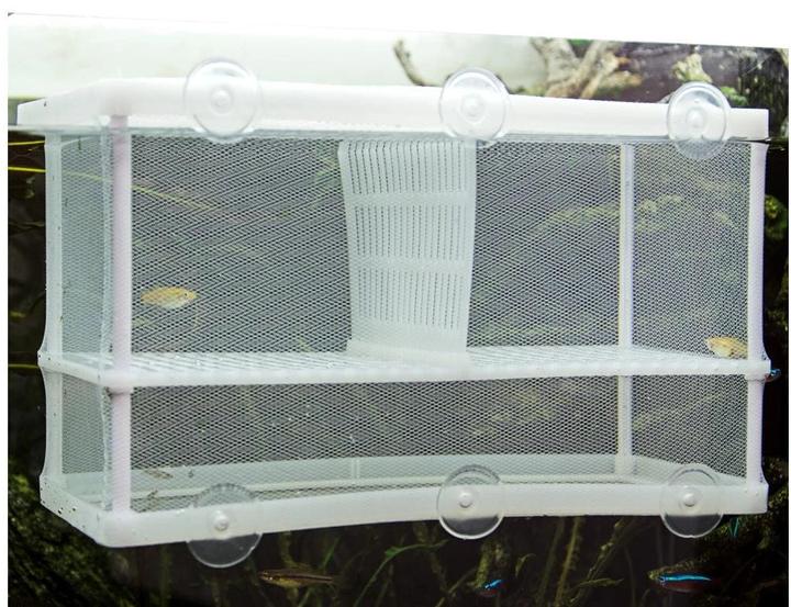 Actual product image Hobby Spawning tank Nido 3.1 XL, 25 x 15 x 14.5 cm