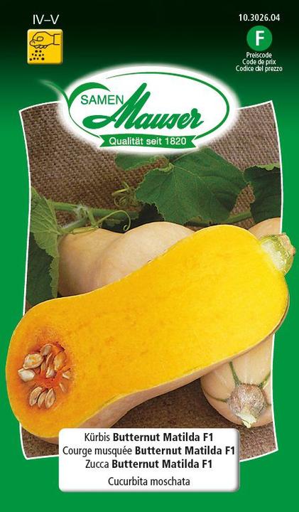 Kürbis Butternut Matilda F1 (Gemüsesamen)