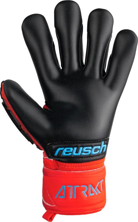 Produktbild Reusch Torwarthandschuh Attrakt Freegel Gold (9.5)