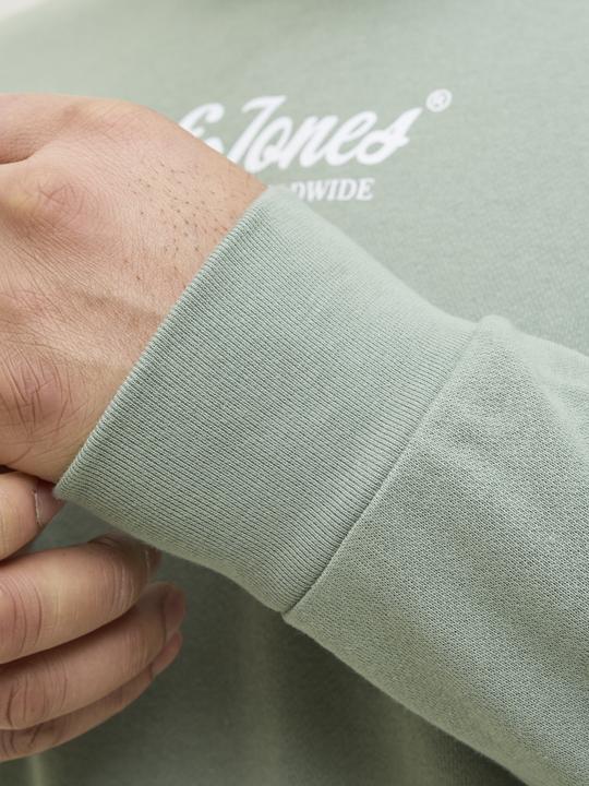 Immagine prodotto Jack & Jones Plus Size Gedruckt Sweatshirt Sweatshirt (5XL)