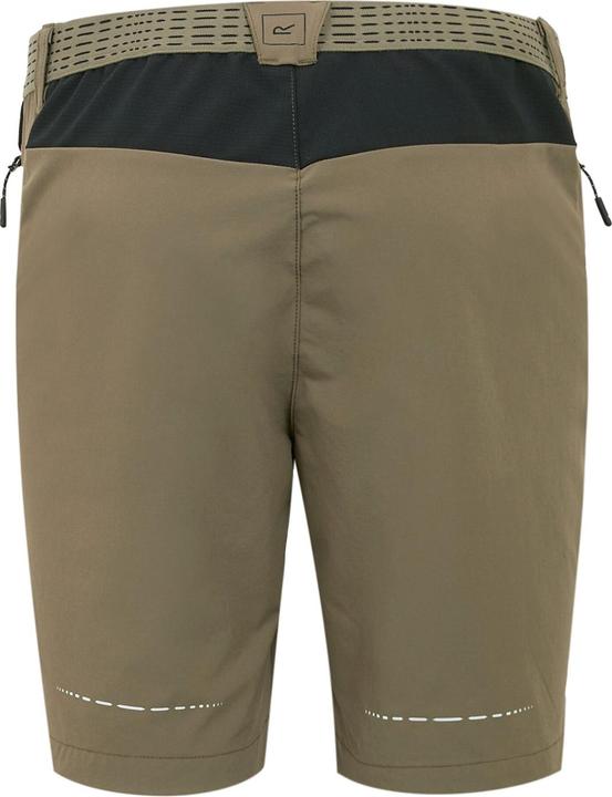 Actual product image Regatta Mens Mountain II Shorts (52 D)