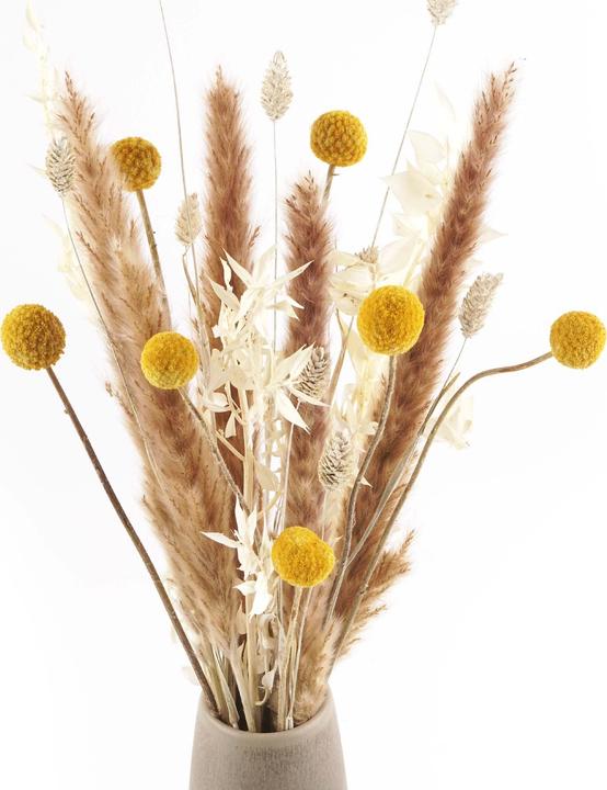 Immagine prodotto Geschenkkörbe CH Bouquet di fiori secchi "Craspedia (Fiori secchi)