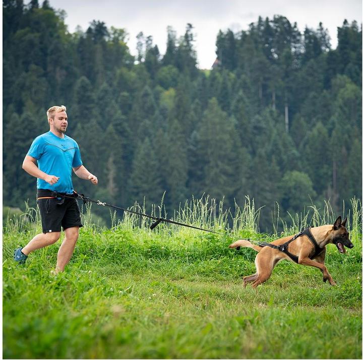 Immagine prodotto Grossenbacher Cintura da jogging Profirun (M, Cane, Jogging)