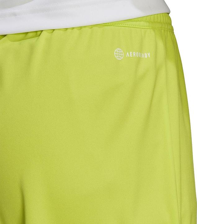 Actual product image adidas Entrada 22 Football Shorts Men (XXL)