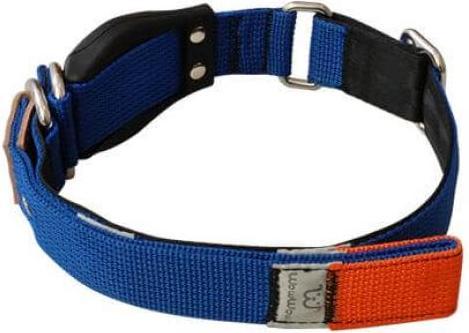 Immagine prodotto WowWow Collare con guinzaglio estraibile integrato (L, Cane)