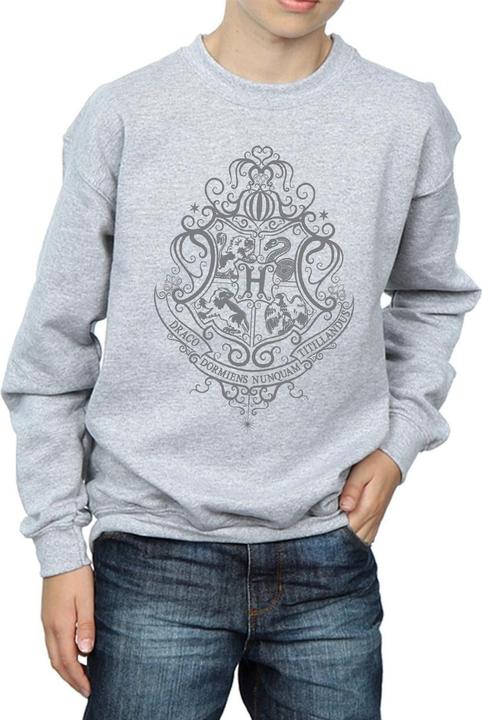 Image du produit - Sweat HOGWARTS DRACO DORMIENS CREST - Garçon (128)