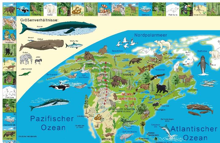 Actual product image Illustrated world map animals, poster map