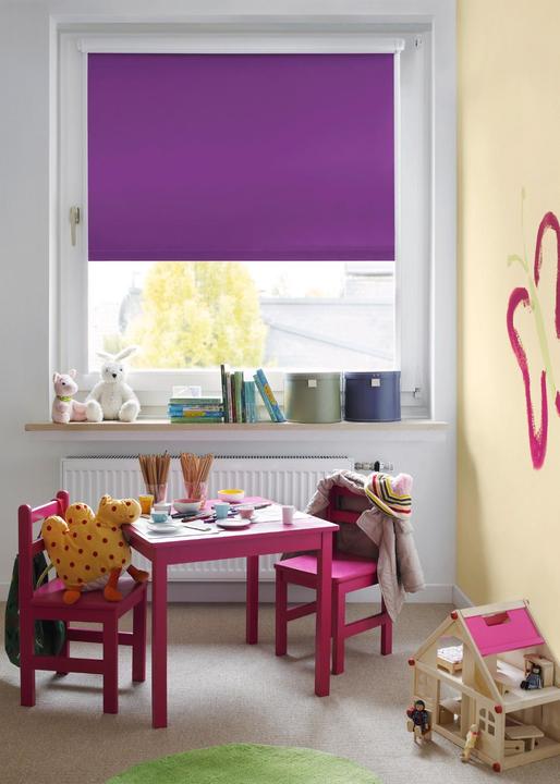 Actual product image Gardinia Rollo Thermo (45 x 150 cm)