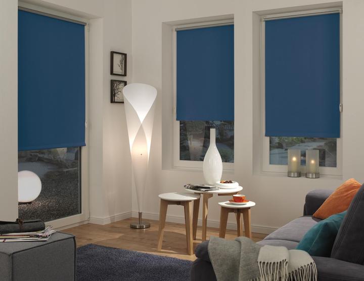 Immagine prodotto Gardinia Tenda a rullo Thermo (60 x 150 cm)