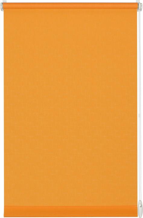 Produktbild Gardinia Rollo Uni (90 x 210 cm)
