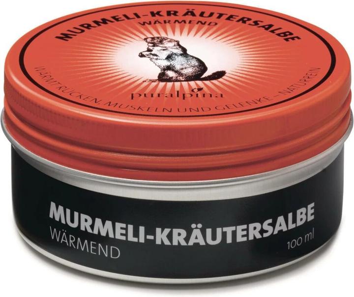 Puralpina Murmeli-Kräutersalbe (1 x, 100 ml, 120 g)