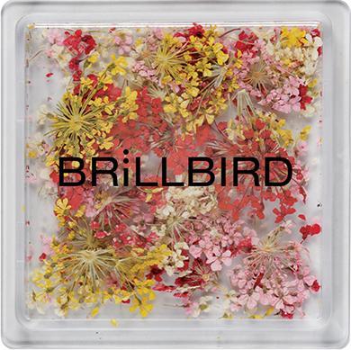 Immagine prodotto BrillBird Mix artistico floreale - Alba (Solvente per unghie, Sunrise)