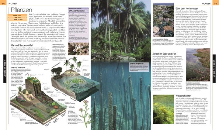 Image du produit Ozeane. DK Bibliothek (Allemand, Philip Eales, Frances Dipper, Monty Halls, Michael Scott, Robert Dinwiddie, Kim Dennis-Bryan, David Bernie, Sue Scott, 2023)