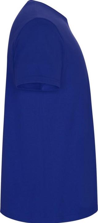 Actual product image Alpinia Mens Stafford T-Shirt (L)