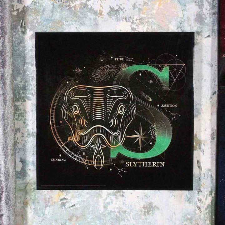 Actual product image Nemesis Now Harry Potter - Slytherin Crystal Clear Picture (32 x 32 cm)